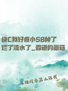 快C我好疼小SB肿了烂了流水了