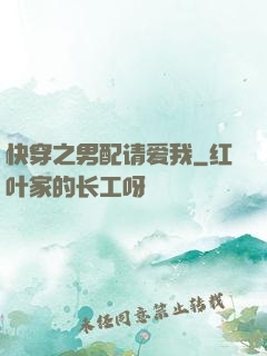 快穿之男配请爱我