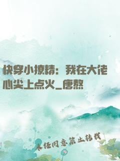 快穿小撩精：我在大佬心尖上点火
