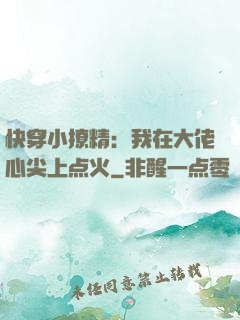 快穿小撩精：我在大佬心尖上点火
