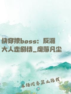 快穿撩boss：反派大人走剧情
