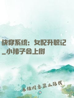 快穿系统：女配升职记
