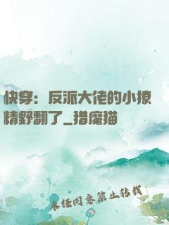 快穿：反派大佬的小撩精野翻了