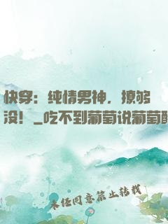 快穿：纯情男神，撩够没！