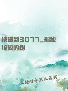 快进到3077