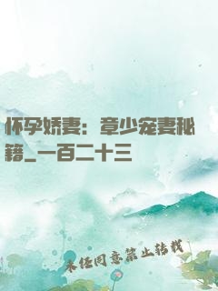 怀孕娇妻：章少宠妻秘籍