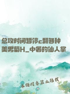 总攻时间暂停c翻各种美男菊H