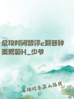 总攻时间暂停c翻各种美男菊H