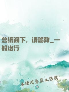 总统阁下，请赐教