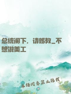 总统阁下，请赐教