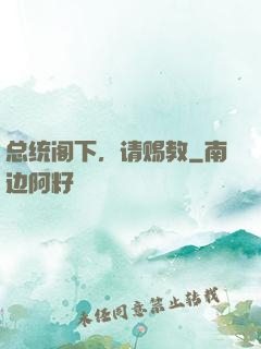 总统阁下，请赐教