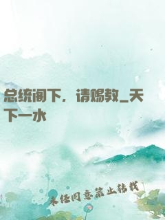 总统阁下，请赐教
