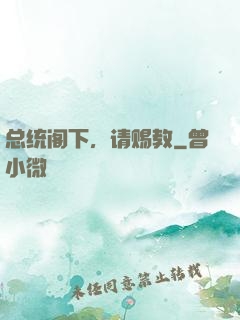 总统阁下，请赐教