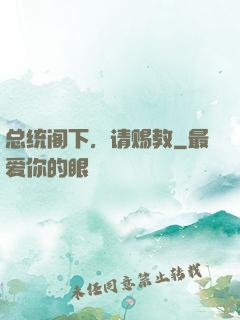 总统阁下，请赐教