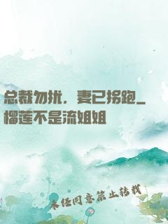 总裁勿扰，妻已拐跑