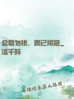 总裁勿扰，妻已拐跑