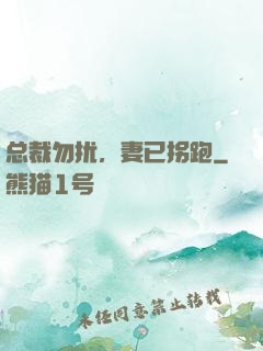 总裁勿扰，妻已拐跑