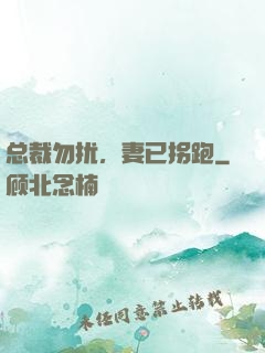 总裁勿扰，妻已拐跑