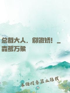 总裁大人，别傲娇！