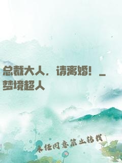 总裁大人，请离婚！