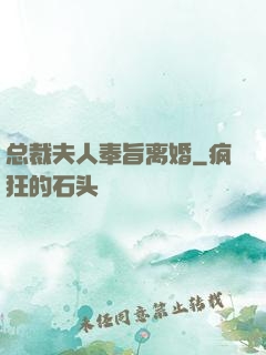 总裁夫人奉旨离婚