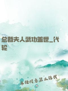 总裁夫人武功盖世
