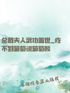 总裁夫人武功盖世