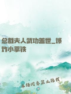 总裁夫人武功盖世