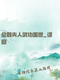总裁夫人武功盖世