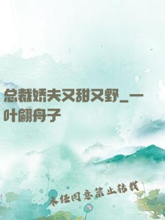 总裁娇夫又甜又野