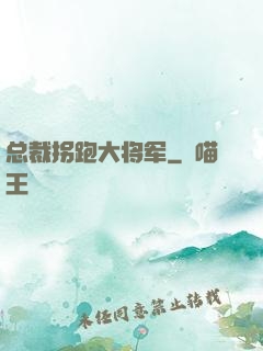 总裁拐跑大将军