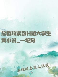 总裁攻紧致H粗大学生受小说