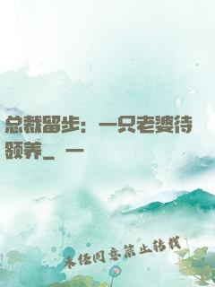 总裁留步：一只老婆待领养