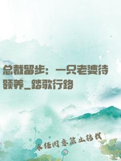 总裁留步：一只老婆待领养