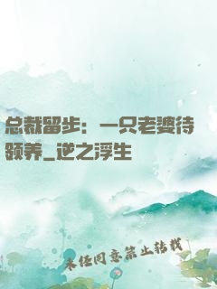 总裁留步：一只老婆待领养