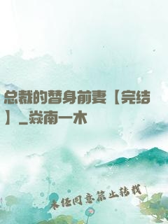 总裁的替身前妻【完结】