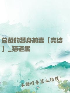 总裁的替身前妻【完结】