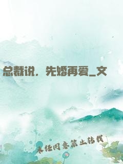 总裁说，先婚再爱