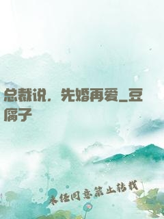 总裁说，先婚再爱