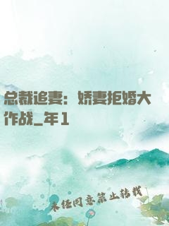 总裁追妻：娇妻拒婚大作战