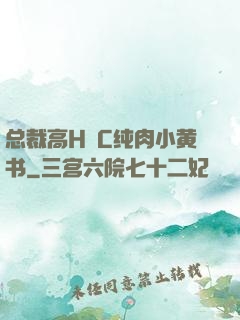 总裁高H掹C纯肉小黄书