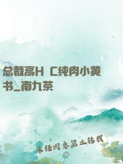 总裁高H掹C纯肉小黄书