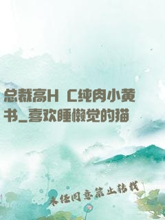 总裁高H掹C纯肉小黄书