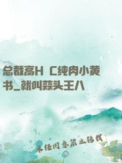 总裁高H掹C纯肉小黄书