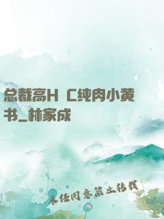 总裁高H掹C纯肉小黄书