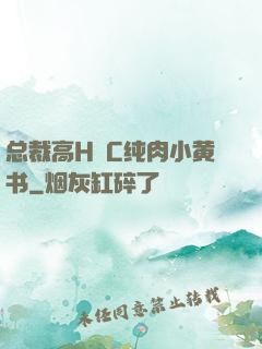 总裁高H掹C纯肉小黄书