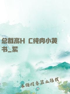 总裁高H掹C纯肉小黄书