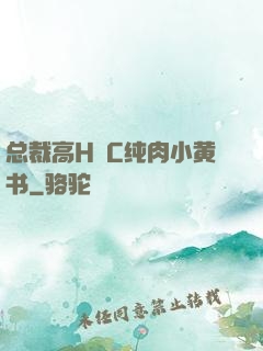 总裁高H掹C纯肉小黄书