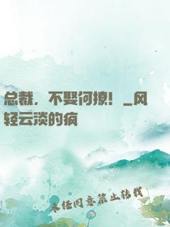 总裁，不娶何撩！