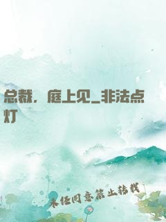 总裁，庭上见